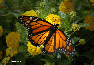 wpa75a5d20_0f.jpg